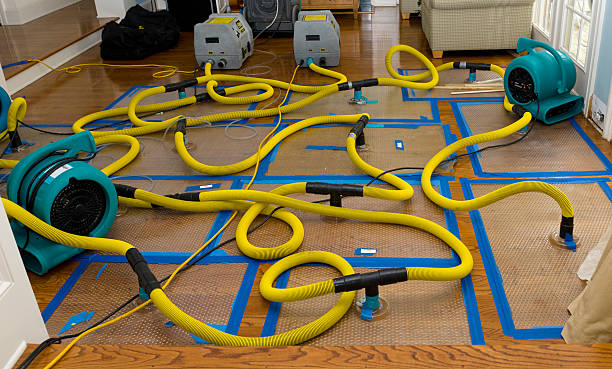 Professional Basement Flood Cleanup technician working in Greens Fork, IN